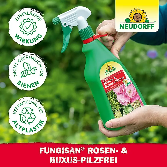 Neudorff Fungisan Rosen- & Zierpflanzen-Pilzfrei - 1 l - Fungisan Rosen- & Buxus-Pilzfrei Sprühlösung von Neudorff, zuverlässiger Schutz für Rosen und Buchsbaum vor Pilzbefall.