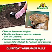 Neudorff Quiritox Wühlmausfalle (Spezialfalle, Kunststoff) | BAUHAUS