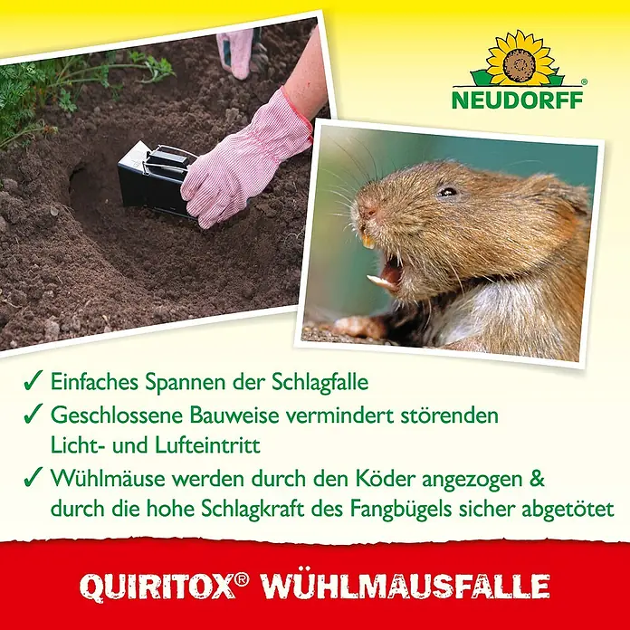 Neudorff Quiritox Wühlmausfalle - Spezialfalle, Kunststoff - Das Bild zeigt die QUIRITOX® Wühlmausfalle in Aktion und ein Wühlmaus-Porträt.
