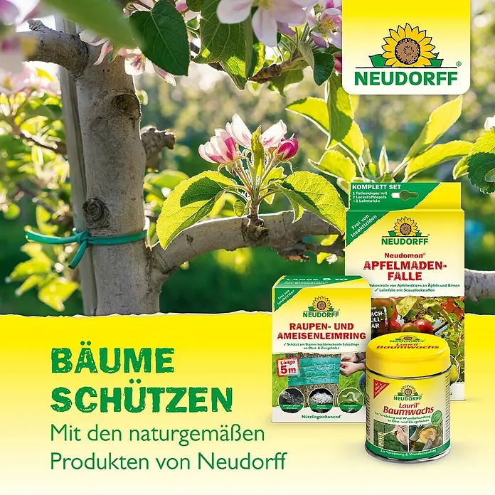 Neudorff Malusan Wundverschluss - 275 ml - Neudorff Schädlingsbekämpfungsprodukte, darunter Raupen- und Ameisenleimring, Apfelmadenfalle und Baumwachs, für gesunde Bäume.