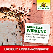 Neudorff Ameisenköder (2 Stk.)