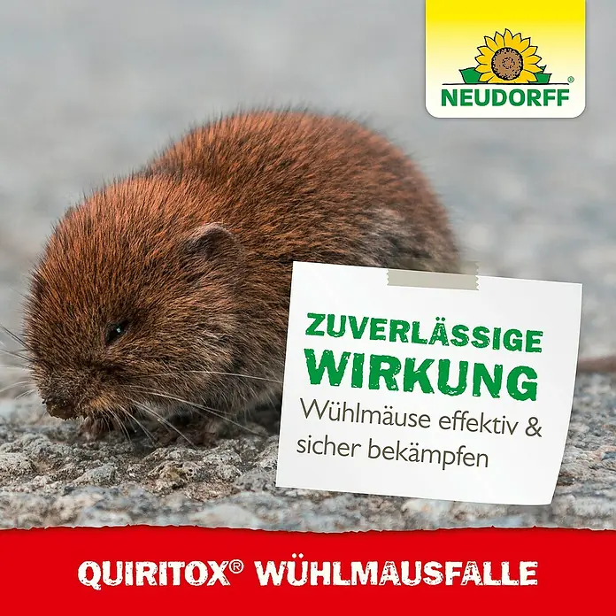 Neudorff Quiritox Wühlmausfalle - Spezialfalle, Kunststoff - Produktbild von Neudorffs QuiritoX® Wühlmausfalle. Wirksame und sichere Bekämpfung von Wühlmäusen.