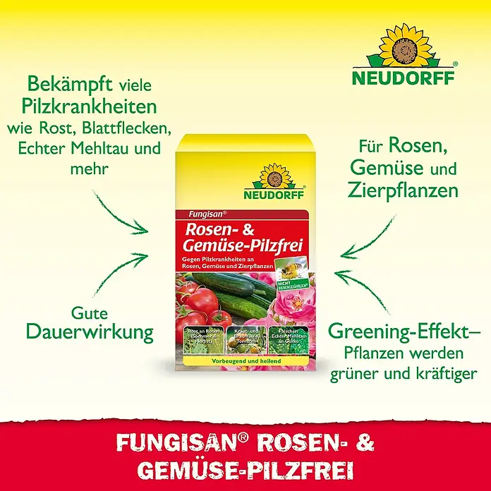Neudorff Fungisan Rosen- & Gemüse-Pilzfrei - 16 ml - Das Fungisan Rosen- & Gemüse-Pilzfrei bekämpft Pilzkrankheiten an Rosen, Gemüse und Zierpflanzen und sorgt für einen Greening-Effekt.