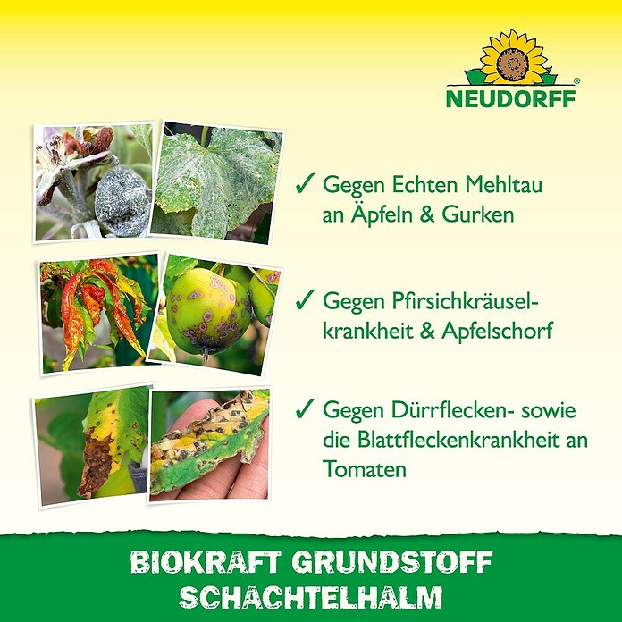 Neudorff BioKraft Grundstoff Schachtelhalm AF (500 ml) | BAUHAUS