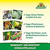 Neudorff BioKraft Grundstoff Schachtelhalm AF (500 ml) | BAUHAUS