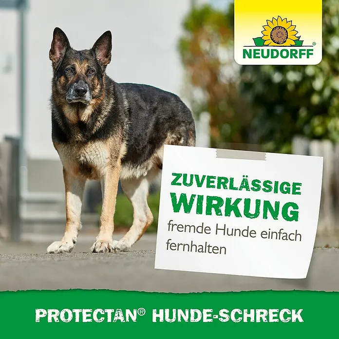 Neudorff Protectan Hunde-Schreck - Reichweite ca.: 13 m - Bild einer Protectan® Hunde-Schreck-Werbung mit einem Deutschen Schäferhund.