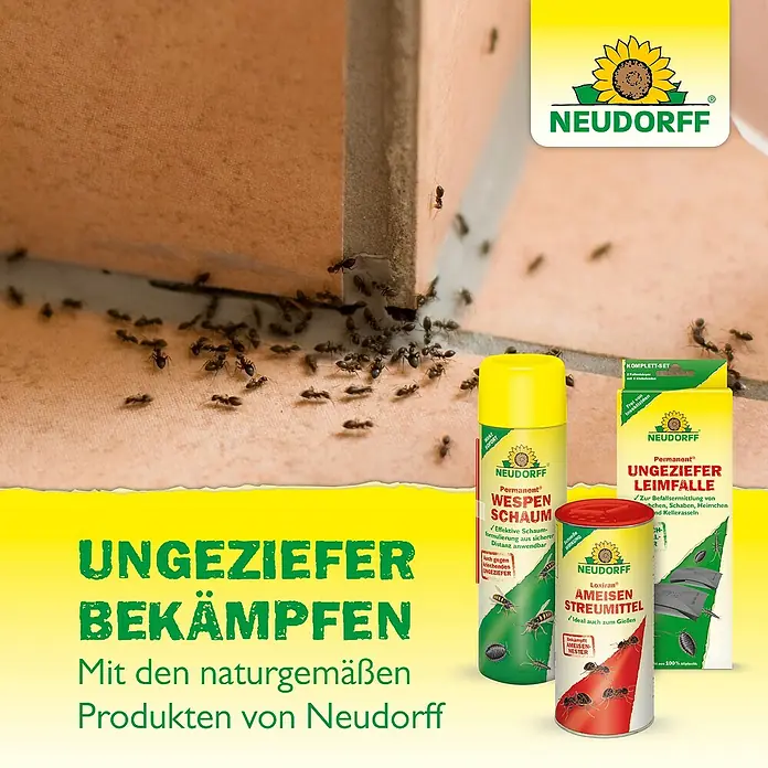 Neudorff Permanent Bettwanzenspray Bettwanzen Spray - Wirkstoff: Spinosad - Neudorff Schädlingsbekämpfungsmittel (Wespenschaum, Leimfalle, Ameisenstreumittel) gegen Insekten wie Ameisen am Boden.