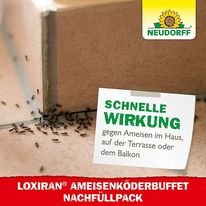 Neudorff Loxiran Ameisenköder (2 x 20 g)