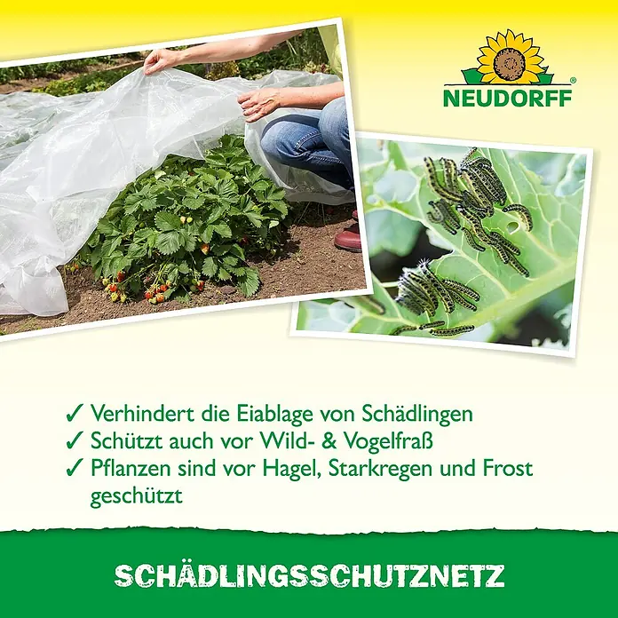 Neudorff Insektenschutz-Netz SchädlingsschutzNetz - 260 x 545 mm - Weißes, transparentes Schädlingsschutznetz bedeckt Erdbeerpflanzen, verhindert Schädlingsbefall und schützt vor Wettereinflüssen.
