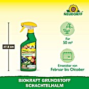 Neudorff BioKraft Grundstoff Schachtelhalm AF (500 ml) | BAUHAUS