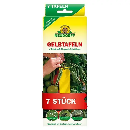 Neudorff  Gelbtafeln