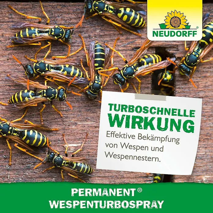 Neudorff Permanent Wespen-Spray Turbo - 500 ml - Wespen auf Holz mit Neudorff Wespen Turbospray-Werbung. Effektive Bekämpfung von Wespen und Wespennestern.