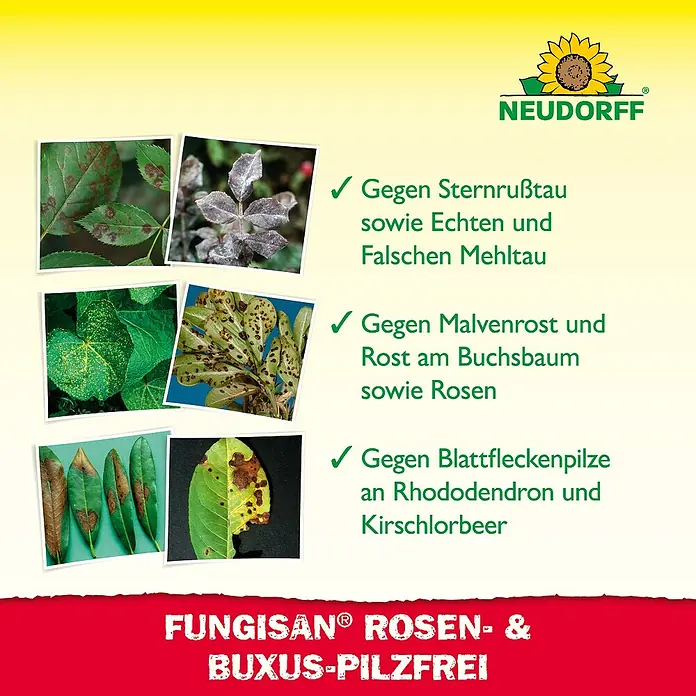 Neudorff Fungisan Rosen- & Zierpflanzen-Pilzfrei - 1 l - Produktabbildung von FUNGISAN® ROSEN- & BUXUS-PILZFREI gegen Pilzkrankheiten an Rosen, Buchsbaum, Rhododendron und Kirschlorbeer.