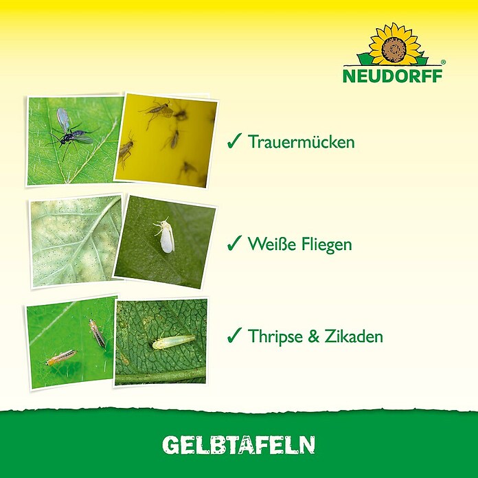 Neudorff Gelbtafeln (7 Stk.)