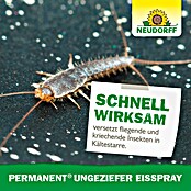 Neudorff Permanent Insekten-Spray EisSpray (500 ml) | BAUHAUS