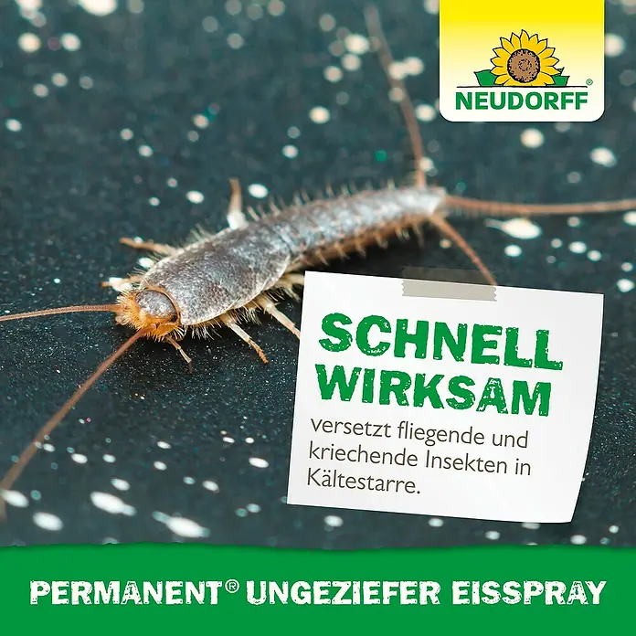 Neudorff Permanent Ungezieferspray EisSpray - 500 ml - Neudorff Permanent Ungeziefer Eisspray stoppt schnell fliegende und kriechende Insekten durch Kältestarre.