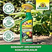 Neudorff BioKraft Grundstoff Schachtelhalm AF (500 ml) | BAUHAUS