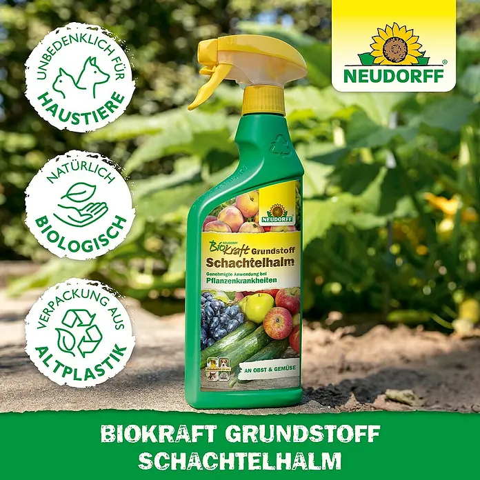 Neudorff BioKraft Grundstoff Schachtelhalm AF - 500 ml - Grüner Neudorff "Biokraft Grundstoff Schachtelhalm" Sprühflasche für Pflanzenkrankheiten an Obst & Gemüse, biologisch, haustiersicher, aus recyceltem Plastik.