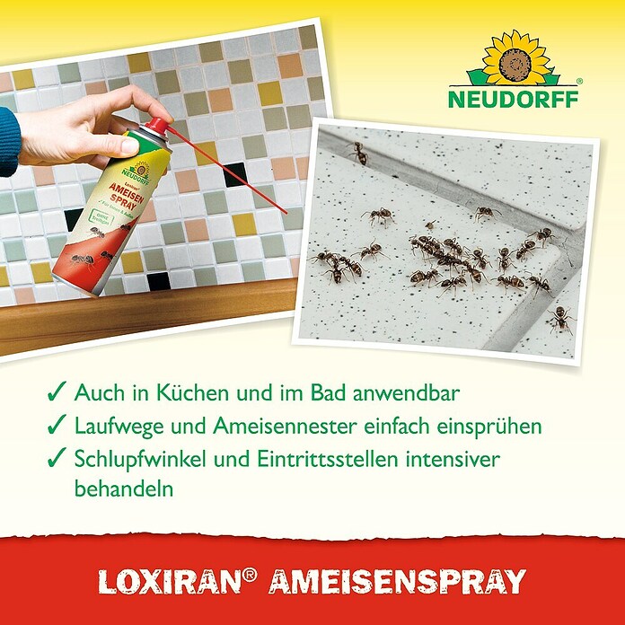 Neudorff Loxiran Ameisenspray (500 ml) | BAUHAUS