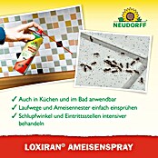 Neudorff Loxiran Ameisenspray (500 ml) | BAUHAUS