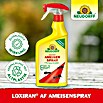 Neudorff Loxiran Ameisenspray (750 ml)