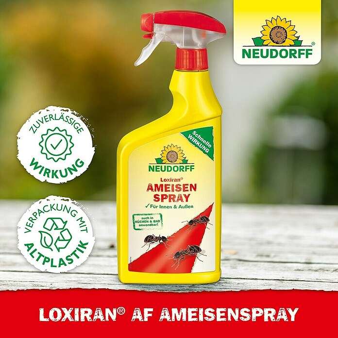 Neudorff Loxiran Ameisenspray (750 ml)