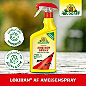 Neudorff Loxiran Ameisenspray (750 ml)