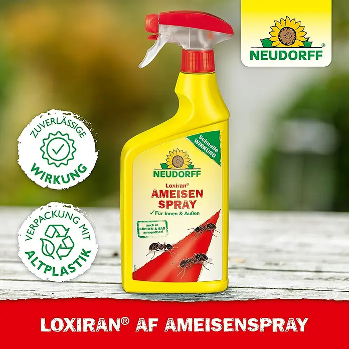 Neudorff Loxiran Ameisenspray - 750 ml - Abbildung einer Sprühflasche Loxiran AF Ameisenspray von Neudorff. Wirksames Mittel zur Ameisenbekämpfung im Innen- und Außenbereich.