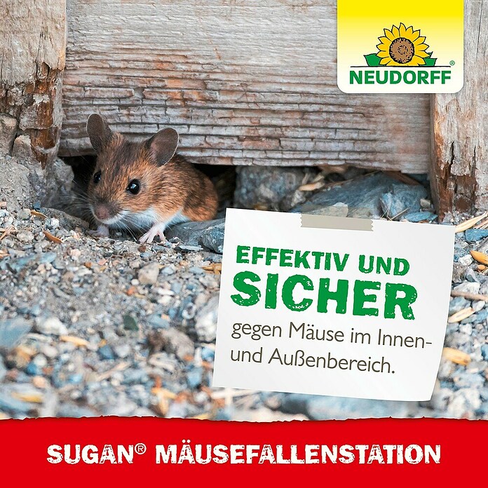 Neudorff Sugan Mausefalle FallenStation (Schlagfalle, Kunststoff) | BAUHAUS