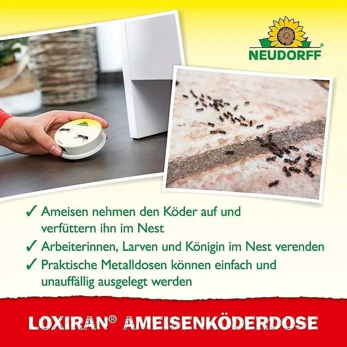 Neudorff Loxiran Ameisenköder - 2 Stk. - Neudorff Loxiran Ameisenköderdose: Wirksame Lösung gegen Ameisen im Haus und Garten, bekämpft das ganze Nest.