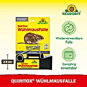 Neudorff Quiritox Wühlmausfalle (Spezialfalle, Kunststoff) | BAUHAUS