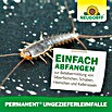 Neudorff Permanent Ungeziefer-Köderbox (2 Stk.) | BAUHAUS