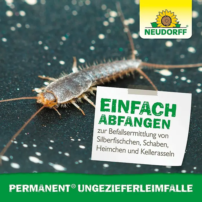 Neudorff Permanent Ungeziefer-Köderbox - 2 Stk. - Das Bild zeigt einen Silberfisch auf einer dunklen Oberfläche mit einem Werbeschild für Neudorff Permanent Ungezieferleimfalle.