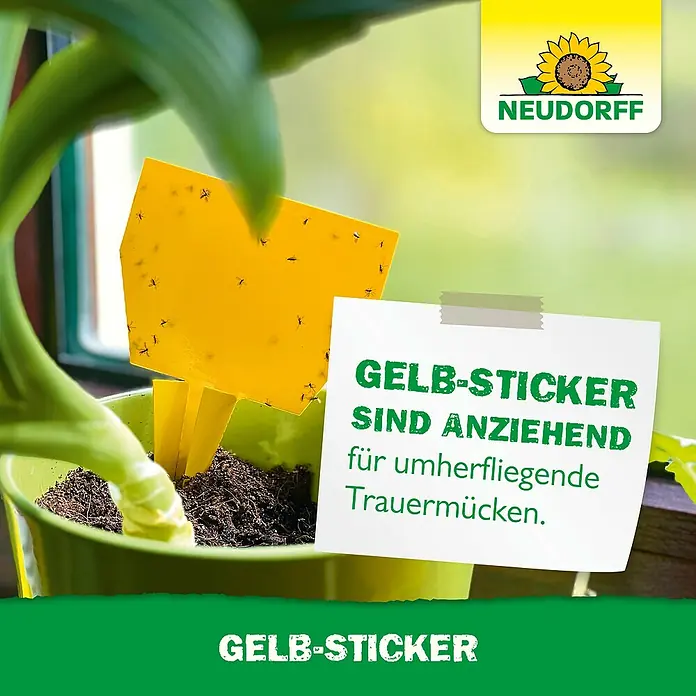 Neudorff Gelb-Sticker - 10 Stk. - Gelbsticker im Topf fangen Trauermücken. Das Produkt von Neudorff hilft gegen lästige Insekten im Haus und Garten.