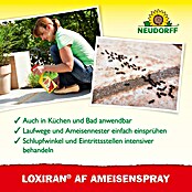 Neudorff Loxiran Ameisenspray (750 ml)