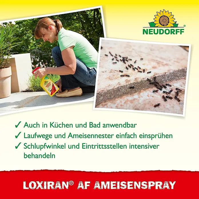 Neudorff Loxiran Ameisenspray - 750 ml - Bild einer Frau, die LOXIRAN AF Ameisenspray auf einer Terrasse gegen Ameisen einsetzt, um sie zu bekämpfen.