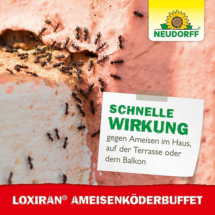 Neudorff Loxiran Ameisen-Buffet (2 Stk.)