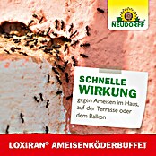 Neudorff Loxiran Ameisen-Buffet (2 Stk.)