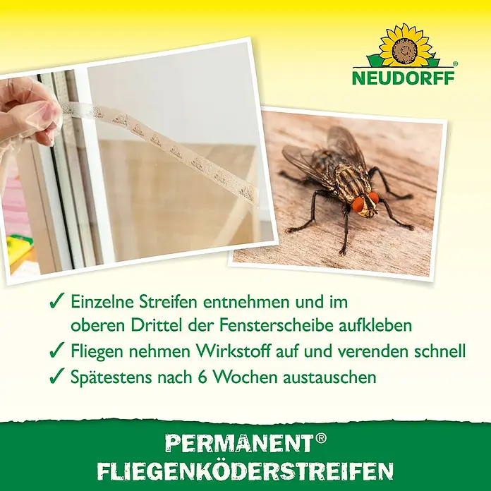 Neudorff Permanent Fliegenköder Streifen - 6 Stk. - Transparente Fliegenköderstreifen werden an ein Fenster geklebt, um Fliegen anzulocken und schnell zu eliminieren.