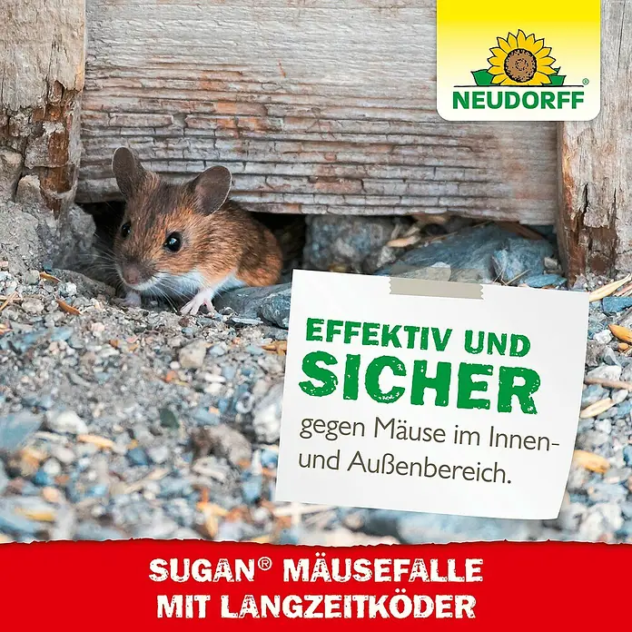 Neudorff Sugan Mausefalle mit Langzeitköder - Schlagfalle, Kunststoff - Sugan® Mäusefalle mit Langzeitköder. Effektiver Schutz gegen Mäuse im Innen- und Außenbereich.