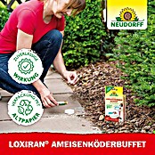 Neudorff Loxiran Ameisen-Buffet (2 Stk.)