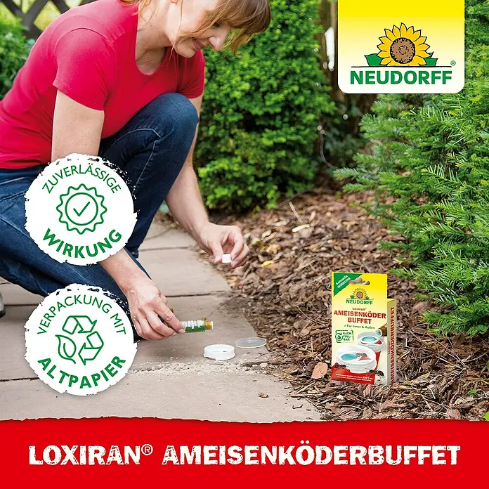 Neudorff Loxiran Ameisen-Buffet - 2 Stk. - Eine Frau bereitet das Loxiran Ameisenköder Buffet von Neudorff vor. Das Produkt sorgt für zuverlässige Wirkung und ist in Altpapier verpackt.
