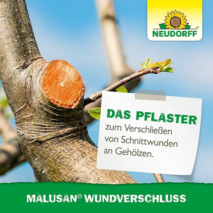 Neudorff Malusan Wundverschluss - 275 ml - Malusan Wundverschluss: Das Pflaster zum Verschließen von Schnittwunden an Gehölzen. Ideal für die Gartenpflege und den Schutz Ihrer Pflanzen.