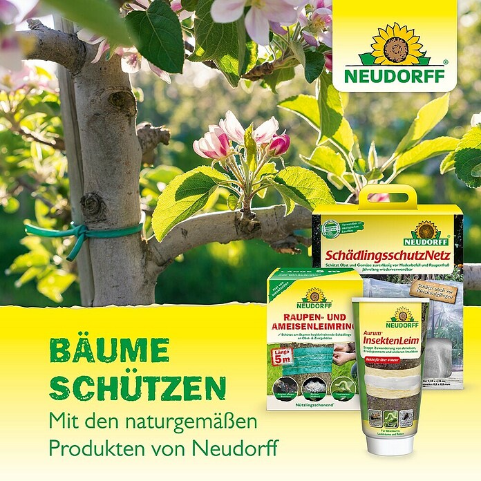 Neudorff Kirschmadenfalle (7 Stk.)