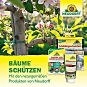 Neudorff Kirschmadenfalle (7 Stk.)