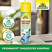 Neudorff Permanent Insekten-Spray EisSpray (500 ml) | BAUHAUS