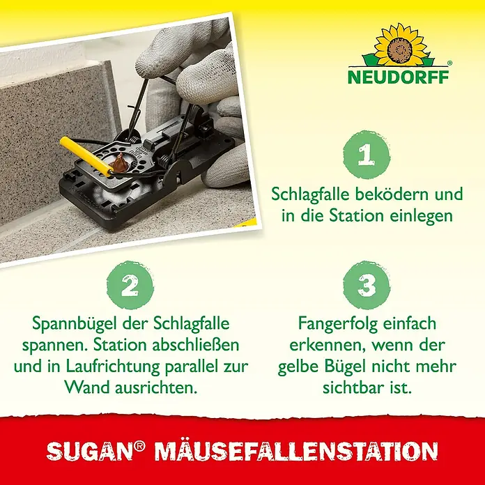 Neudorff Sugan Mausefalle FallenStation - Schlagfalle, Kunststoff - Schwarze Schnapp-Mausefalle mit gelbem Köderhalter, von behandschuhter Hand für eine Fallenstation vorbereitet.