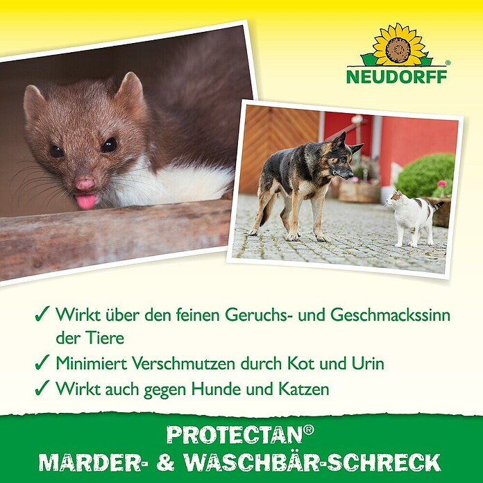 Neudorff Marder- & Waschbär-Schreck (300 g)