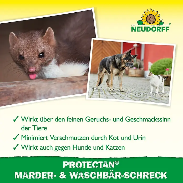 Neudorff Protectan Marder- & Waschbär-Schreck - 300 g - Abbildung von Protectan Marderschreck, einem Produkt zur Abwehr von Mardern und Waschbären, mit Bildern von Tieren und Produktinformationen.