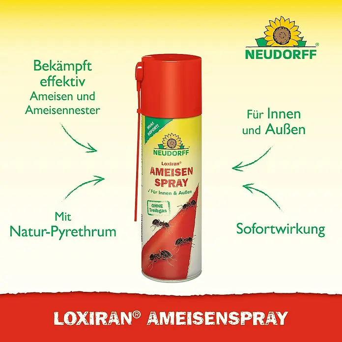 Neudorff Loxiran Ameisenspray - 400 ml - Bild einer Dose Loxiran Ameisenspray von Neudorff, zur effektiven Bekämpfung von Ameisen im Haus und Garten, mit Natur-Pyrethrum und Sofortwirkung.